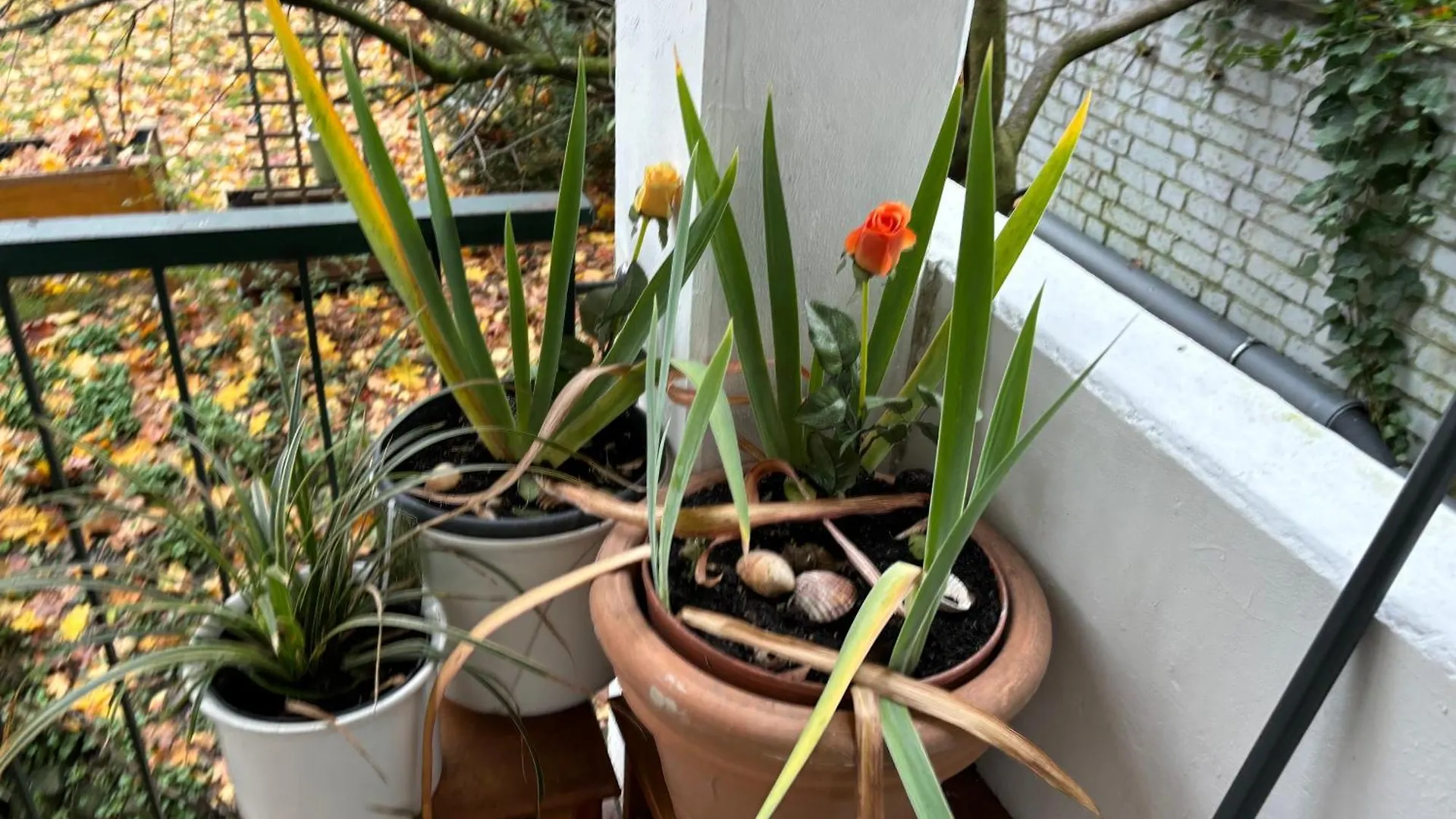 Koeln Wohnung 4 Min Naehe Von Hbf Und Dom Mit Garten ,Balkon & Office Köln